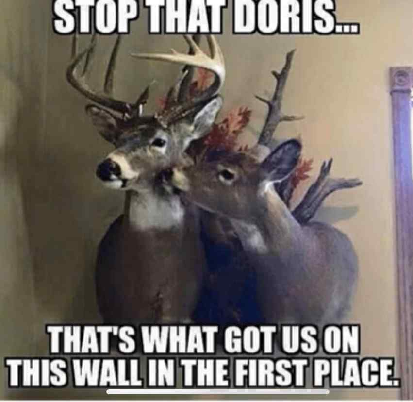 Funny Deer Hunting Memes