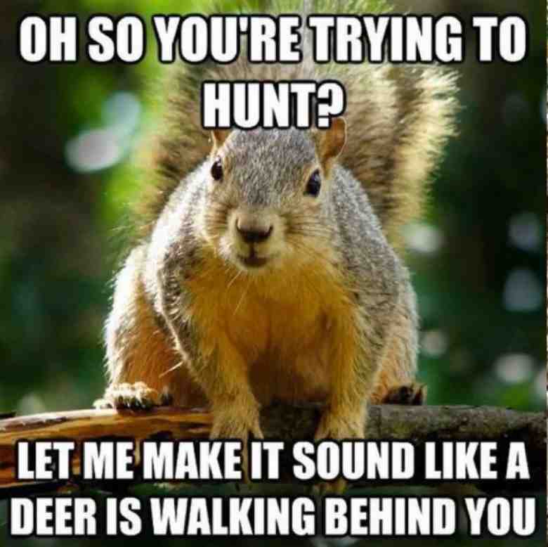 Funny Deer Hunting Memes