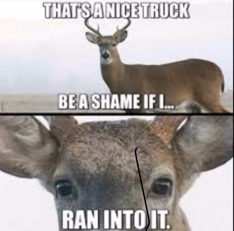 Funny Deer Hunting Memes