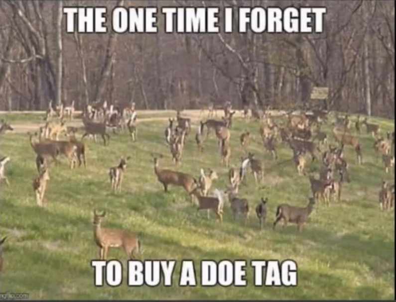 Funny Deer Hunting Memes