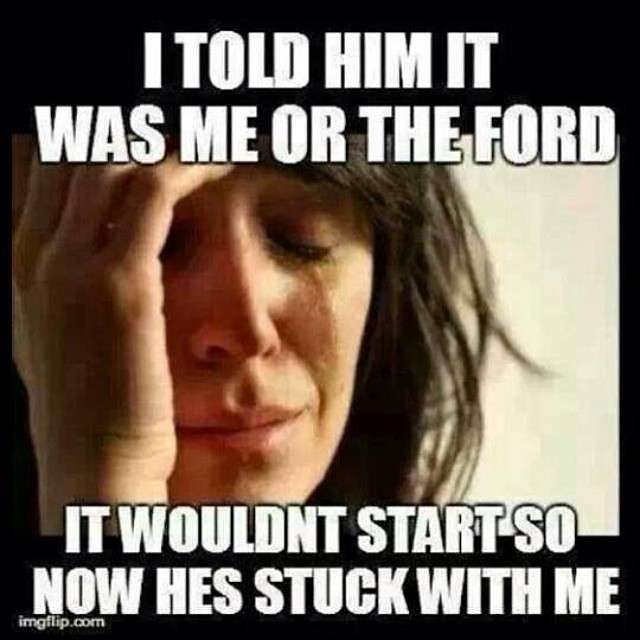 what does ford stand for meme